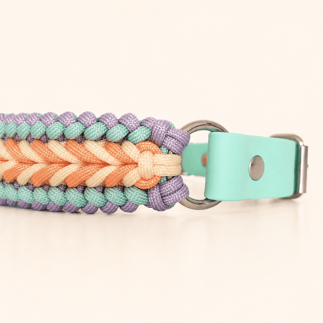 collier-chien-pastel-paracorde-biothane-tresse