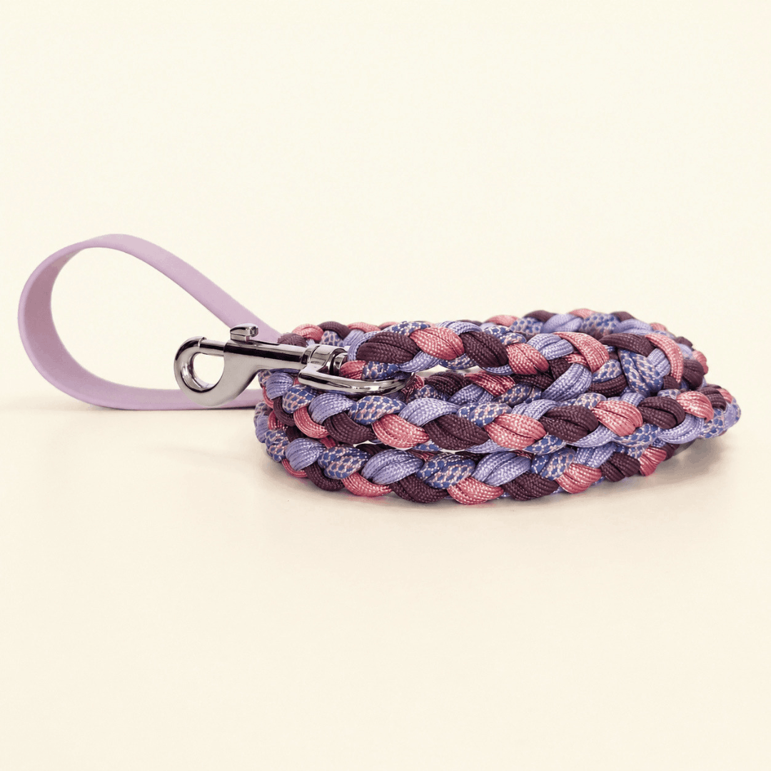 laisse-chiens-biothane-paracorde-lilas