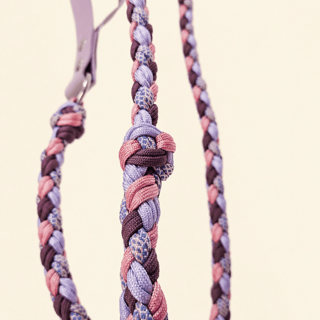 laisse-paracorde-biothane-lilas-chien