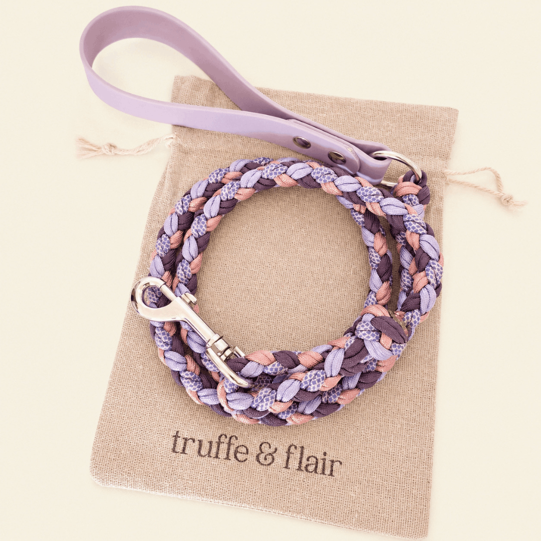 truffeetflair-laisse-biothane-paracorde-lilas-chien