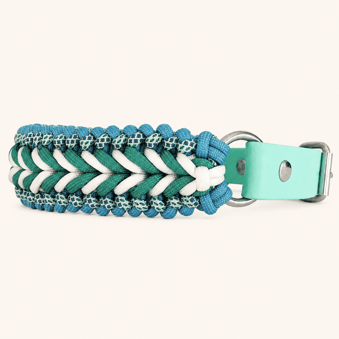 collier-chien-paracorde-turquoise-biothane-tresse