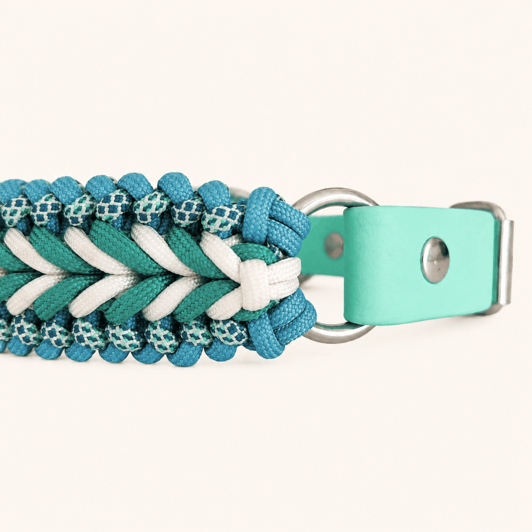 collier-chien-turquoise-paracorde-biothane-tresse