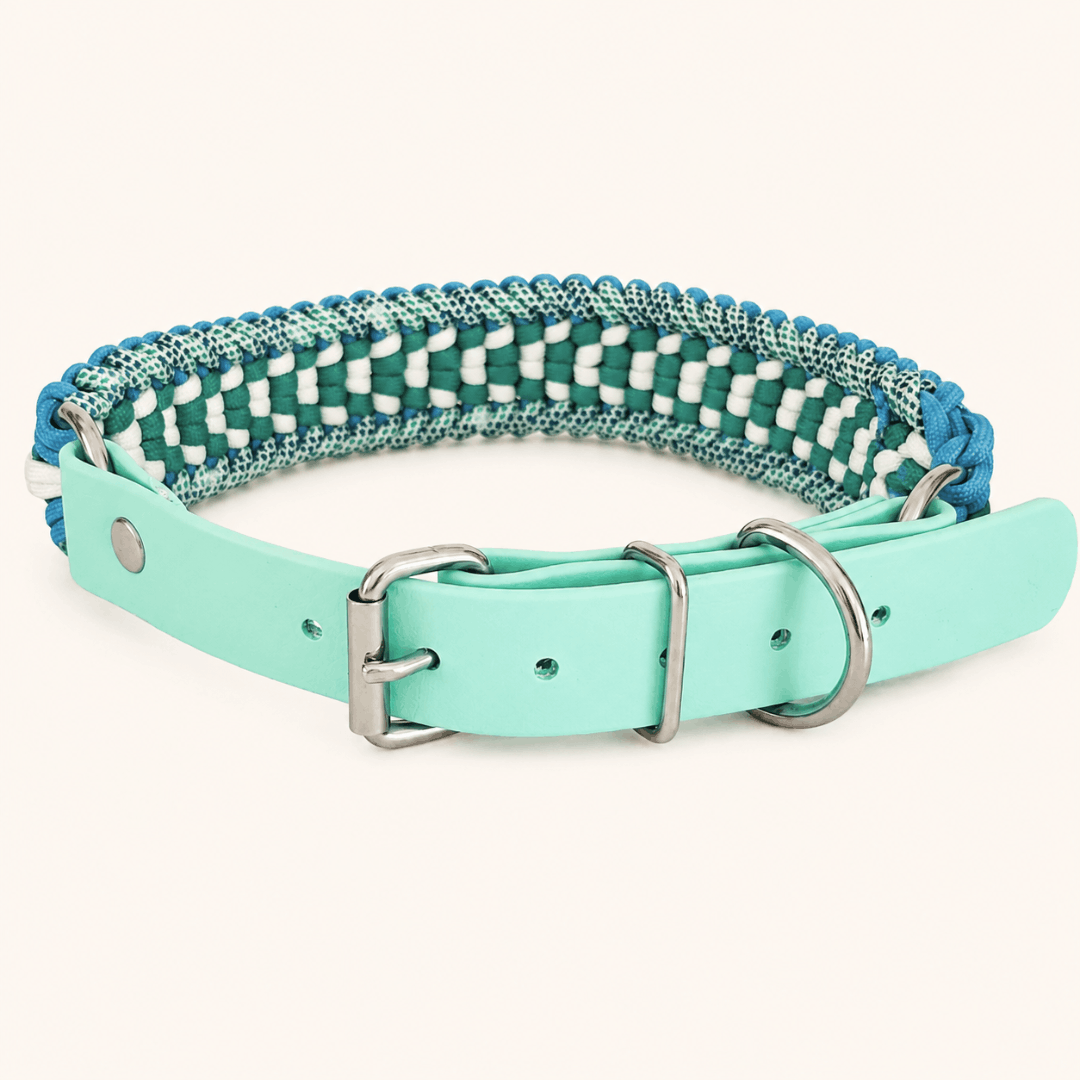 collier-paracorde-turquoise-biothane-chien-tresse
