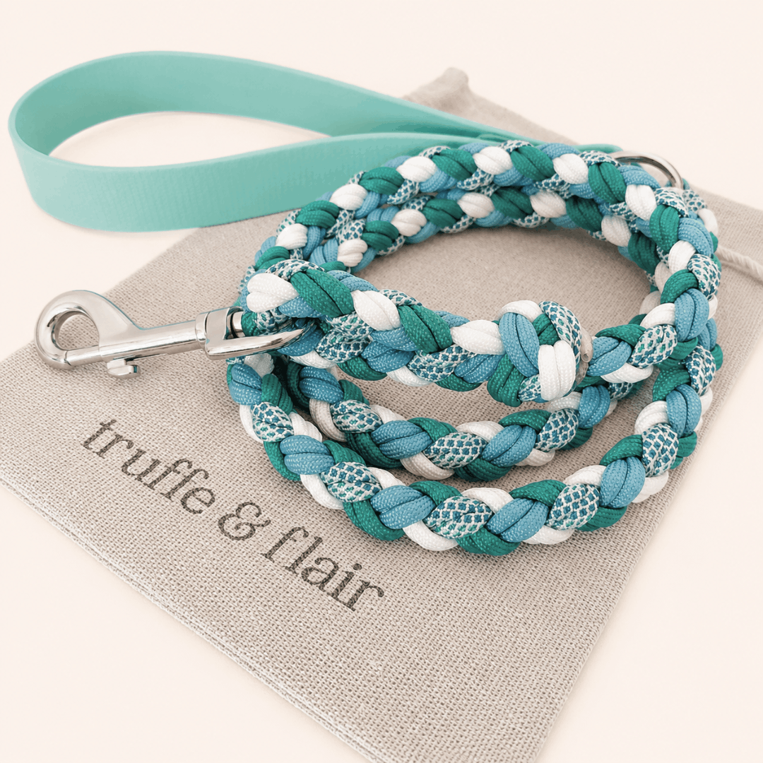 laisse-paracorde-biothane-turquoise-chien-truffeflair