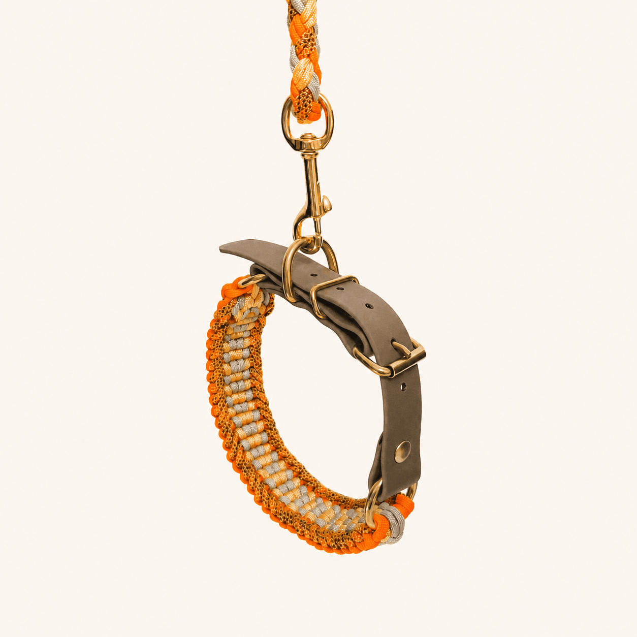 laisse-collier-biothane-paracorde-orange-chien