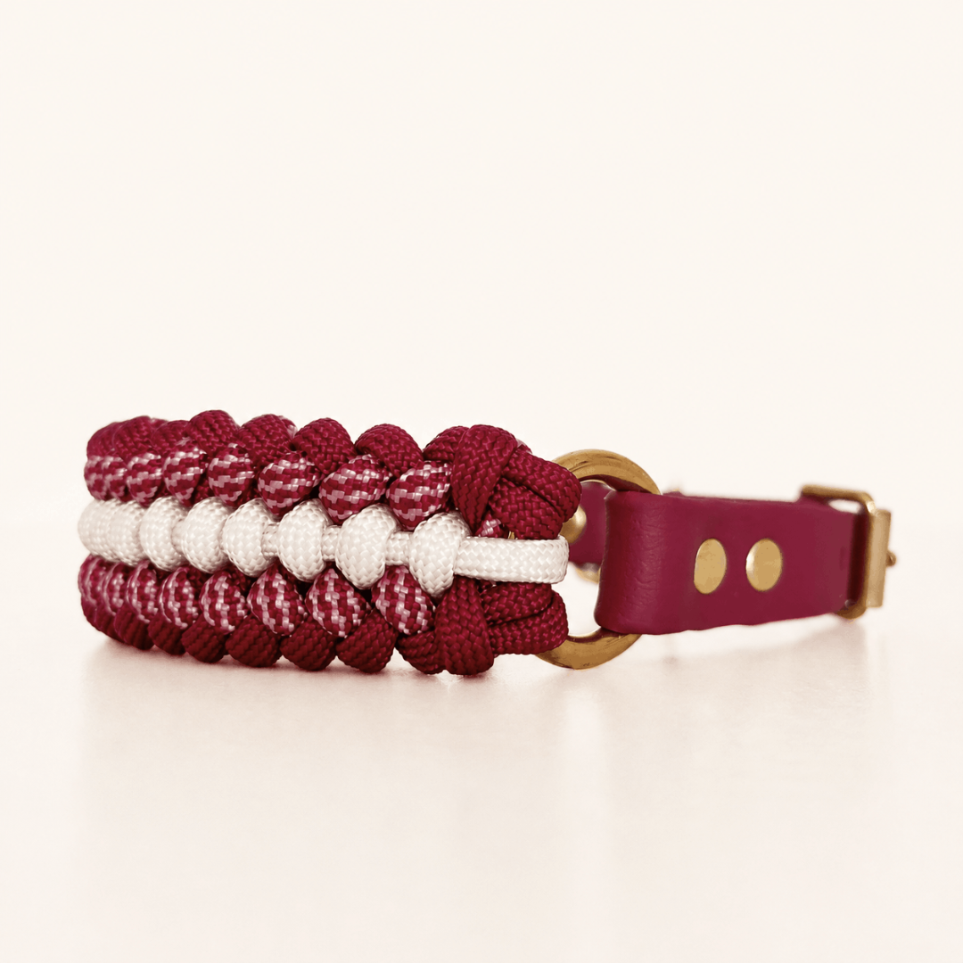 collier-petit-chien-framboise-paracorde-biothane-tresse