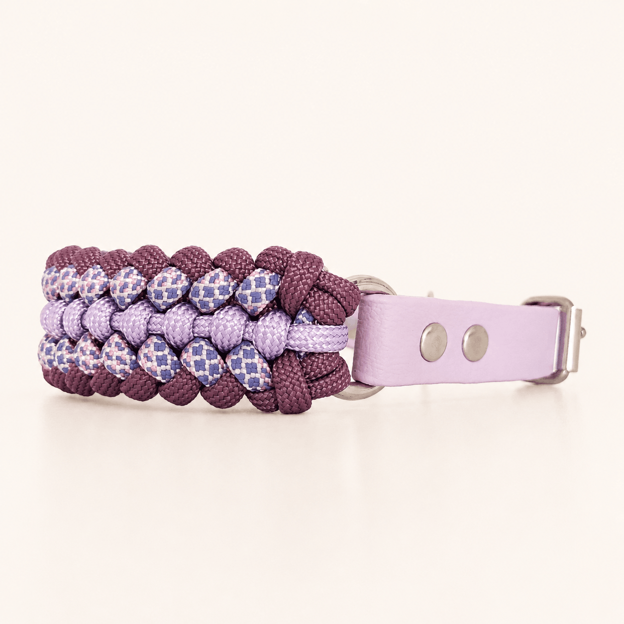 collier-petit-chien-lilas-paracorde-biothane-tresse