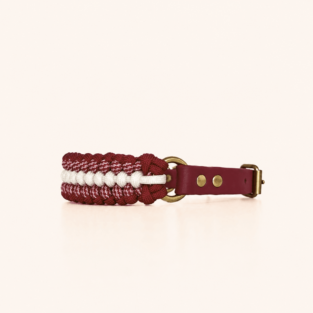 collier-petit-chien-paracorde-framboise-biothane-tresse