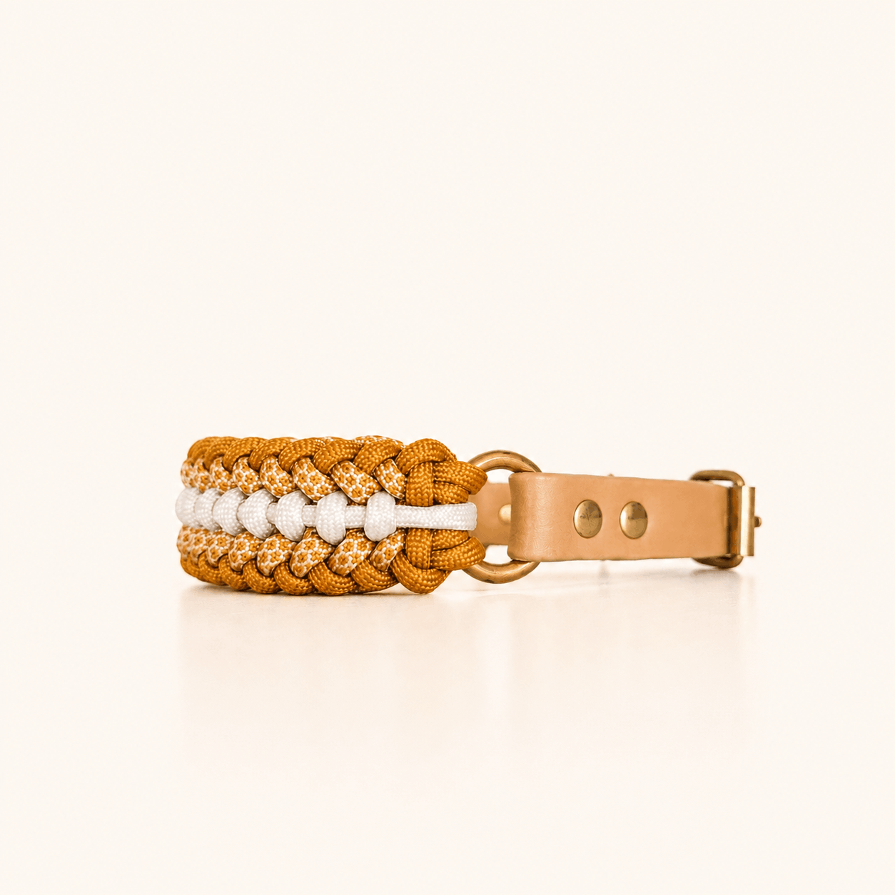 collier-petit-chien-paracorde-jaune-biothane-tresse