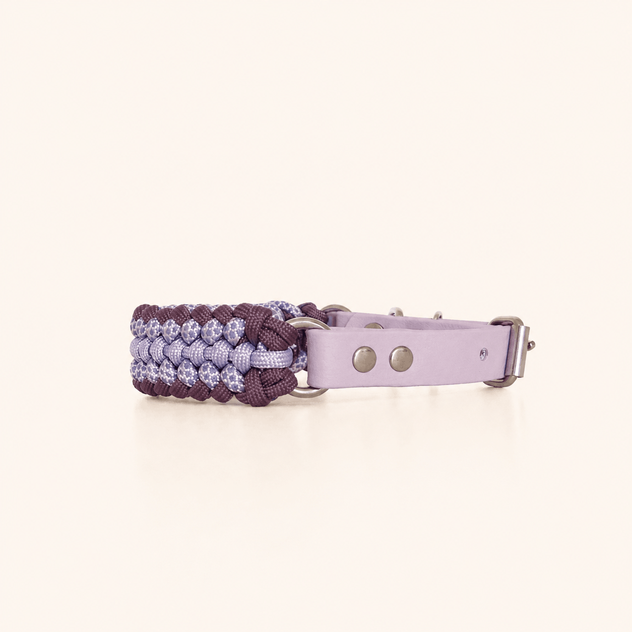collier-petit-chien-paracorde-lilas-biothane-tresse