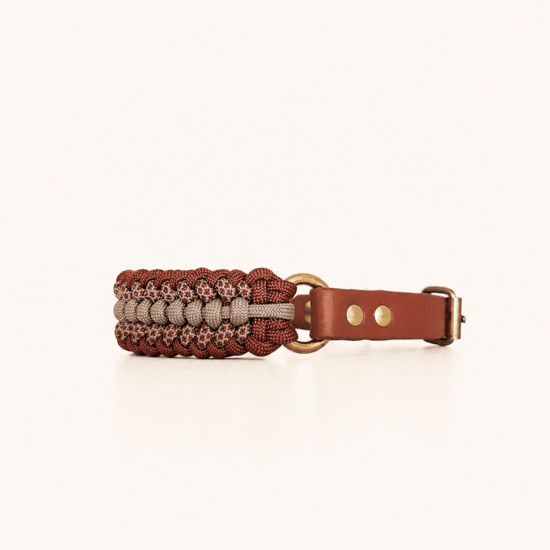 collier-petit-chien-paracorde-brun-biothane-tresse