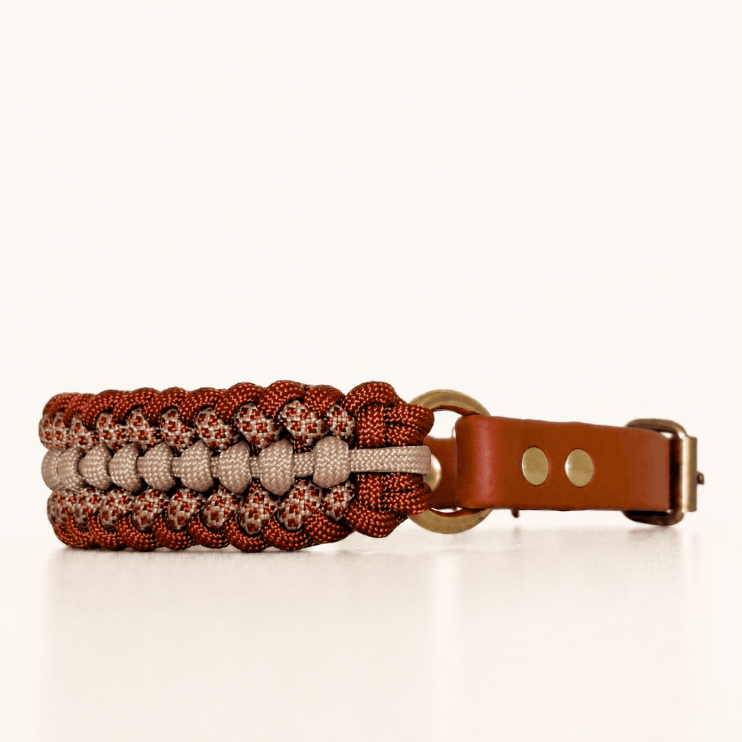 collier-petit-chien-brun-paracorde-biothane-tresse