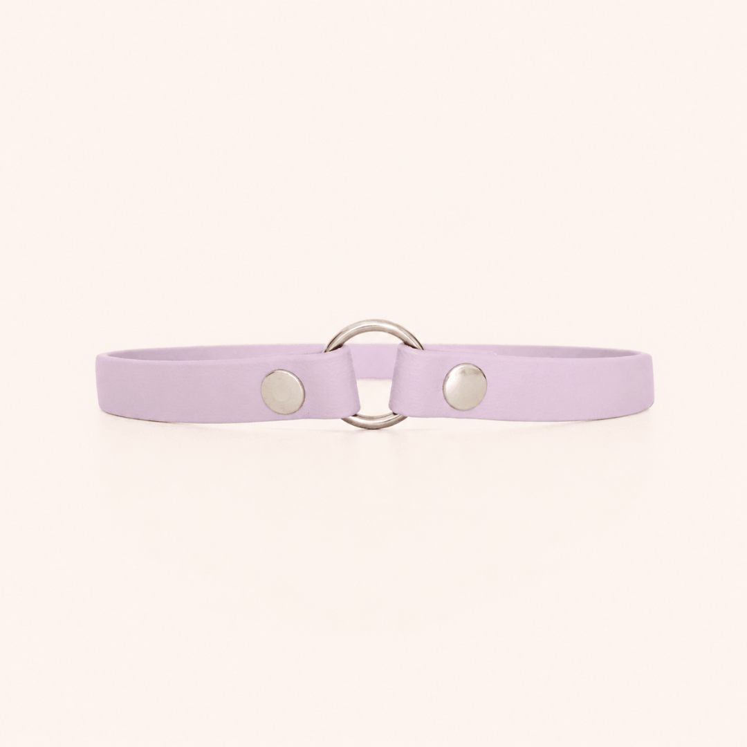 collier-porte-medaille-chien-lilas