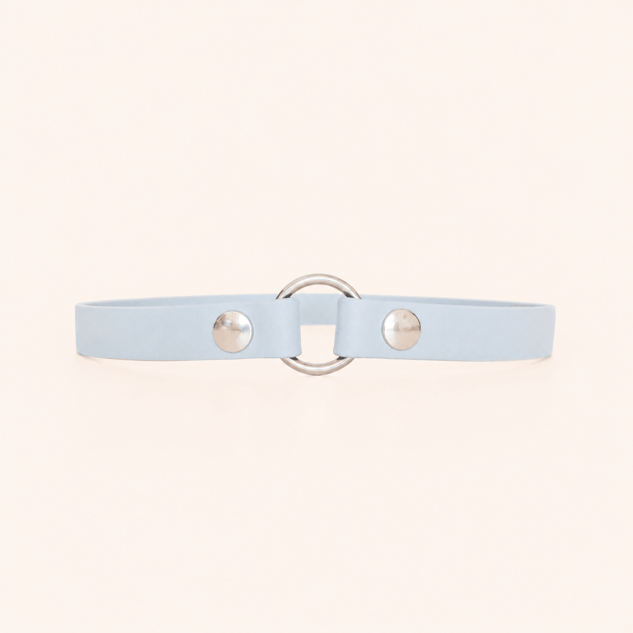 collier-porte-medaille-chien-bleu-ciel