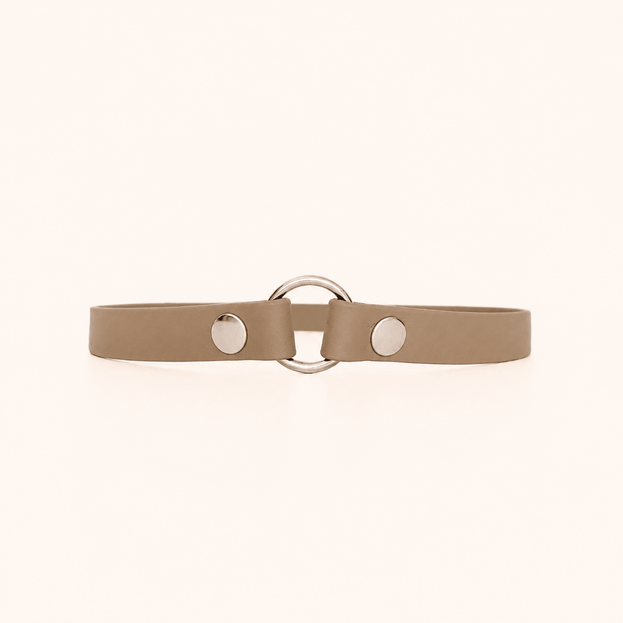 collier-porte-medaille-chien-kaki
