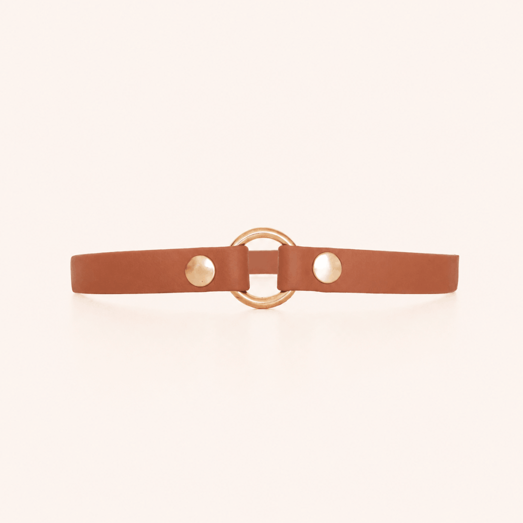 collier-porte-medaille-chien-camel