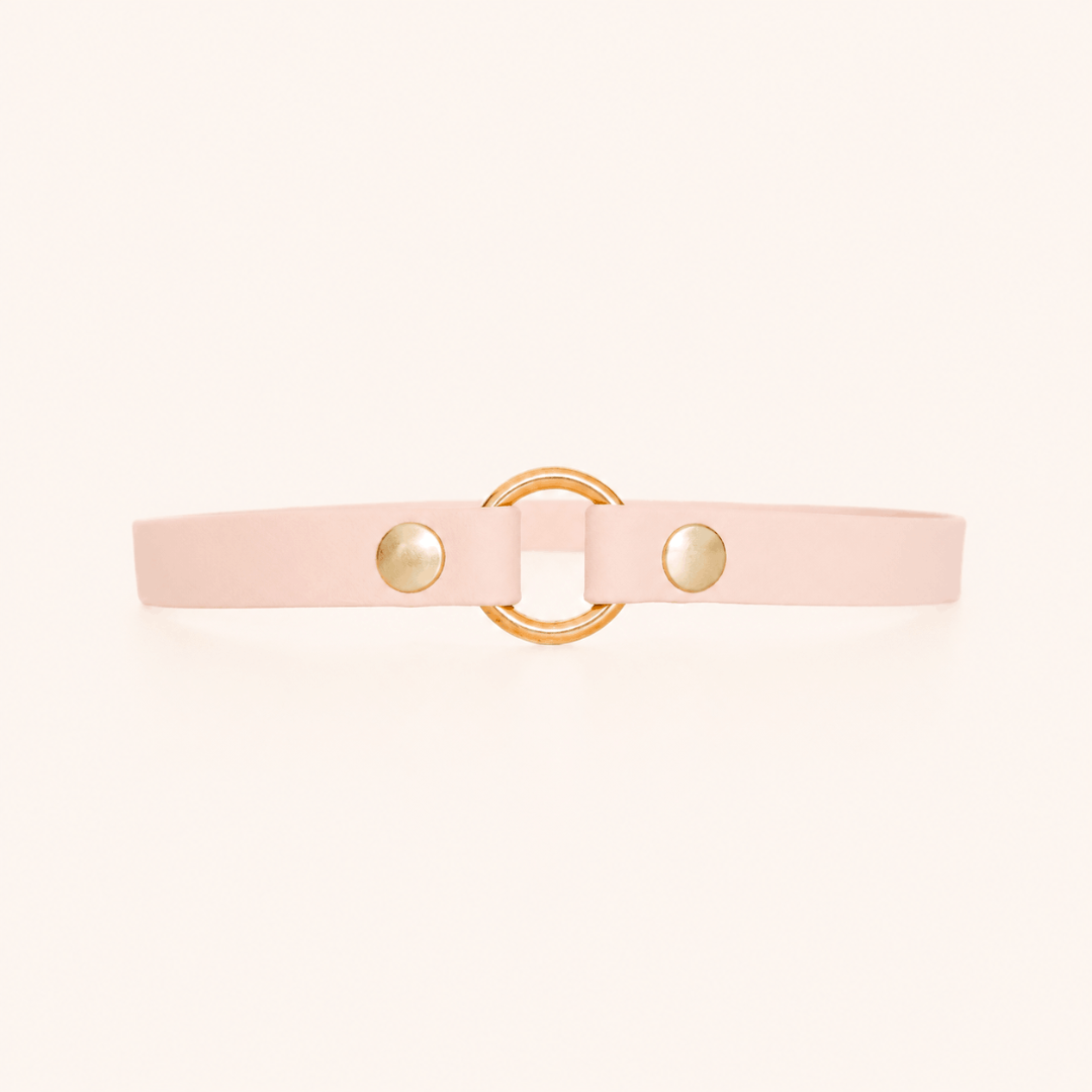 collier-porte-medaille-chien-rose-pale