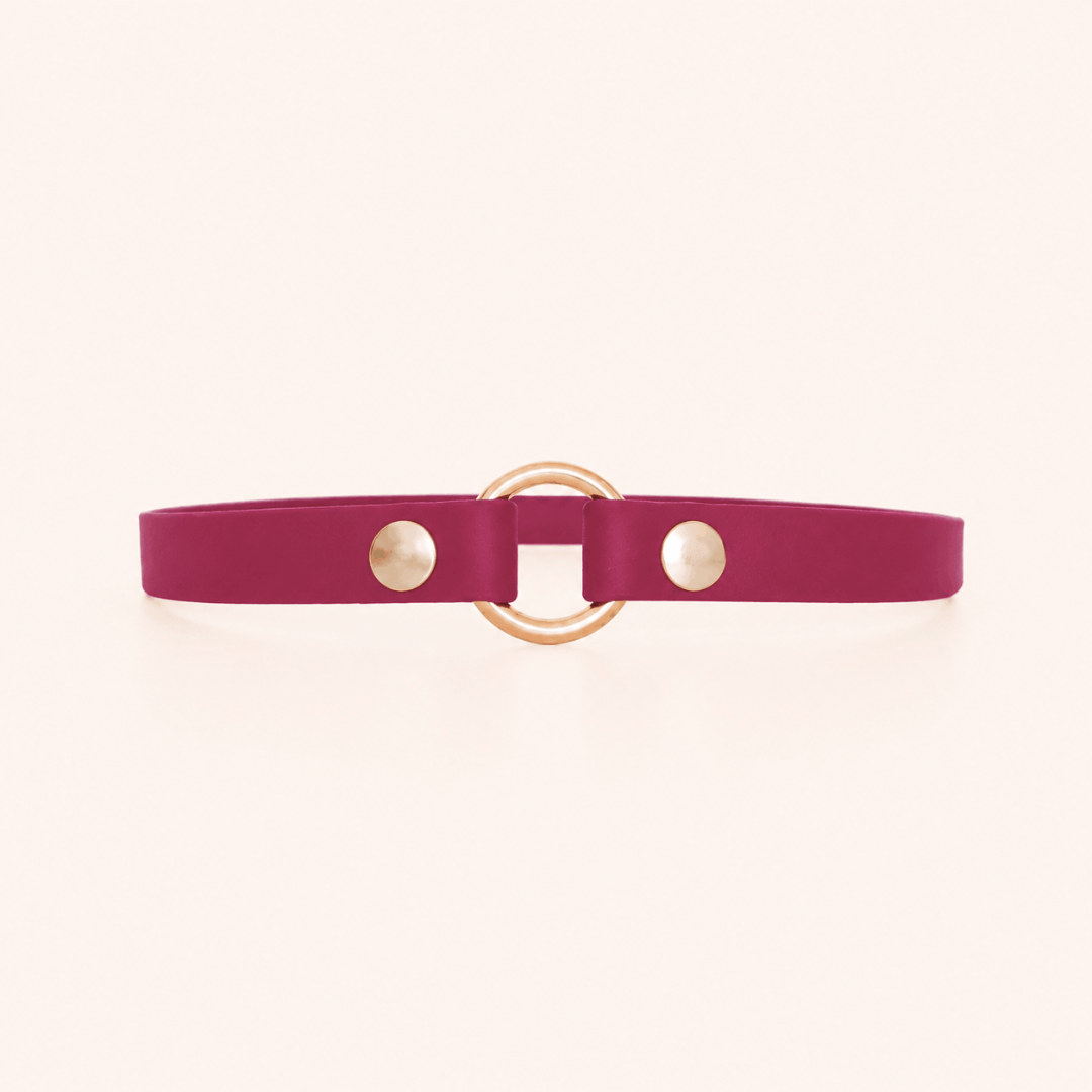 collier-porte-medaille-chien-bordeaux