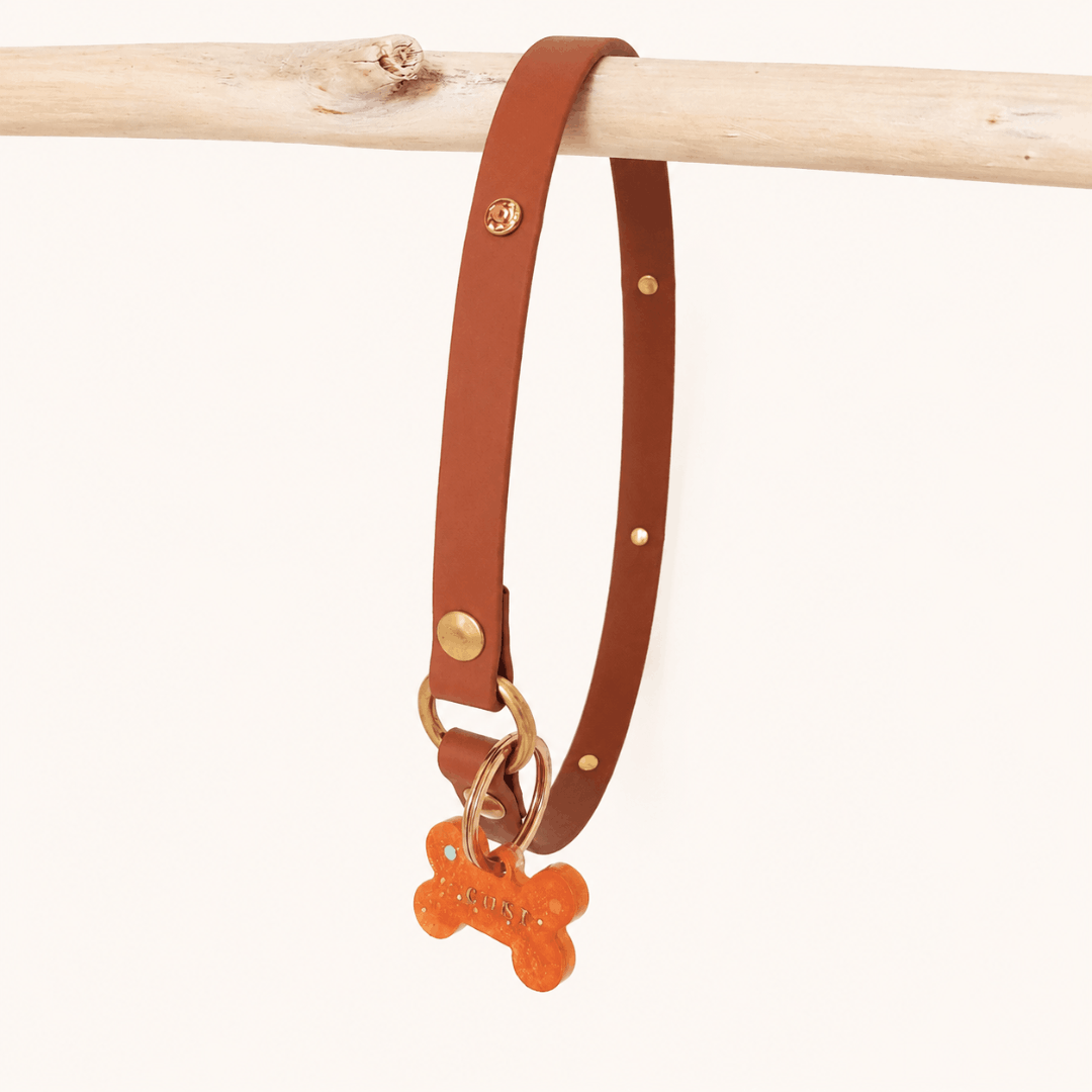 truffeetflair-biothane-collier-porte-medaille-chien-camel-rivets-bijoux
