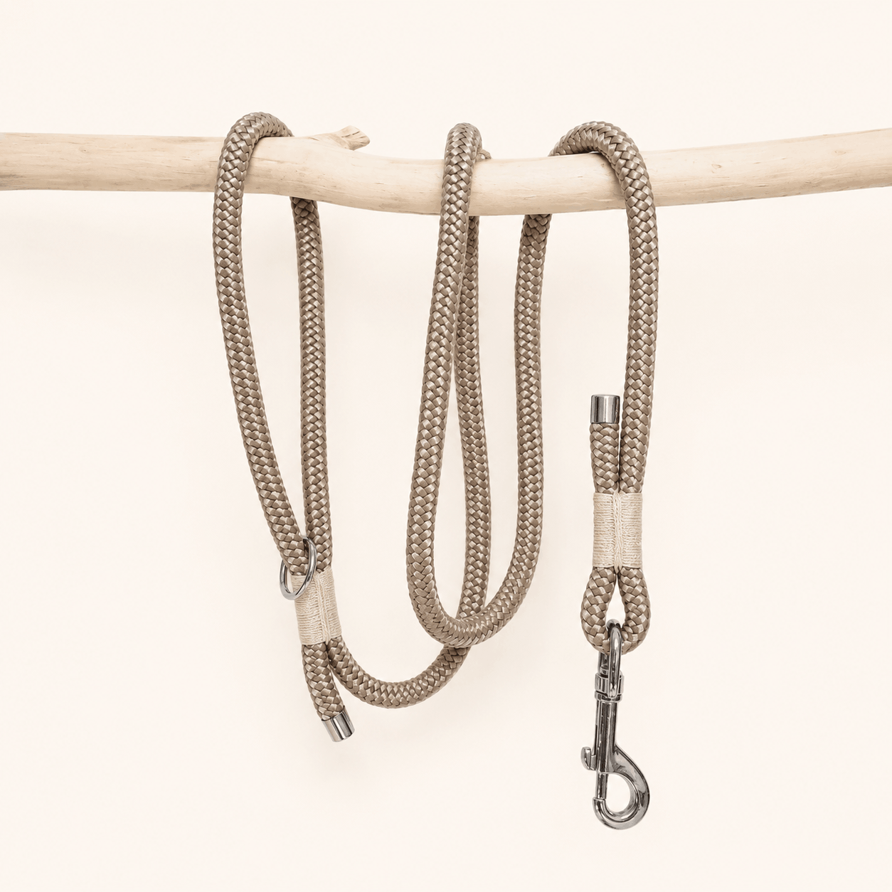 laisse-paracorde-beige-chiens