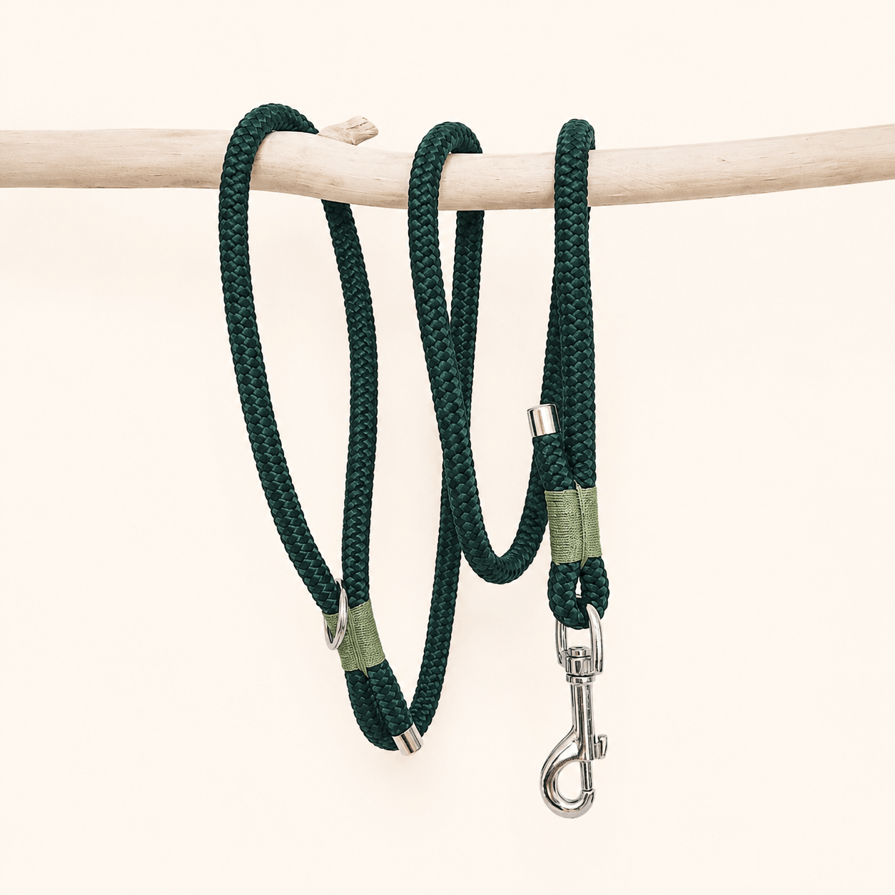 laisse-paracorde-vert-chiens