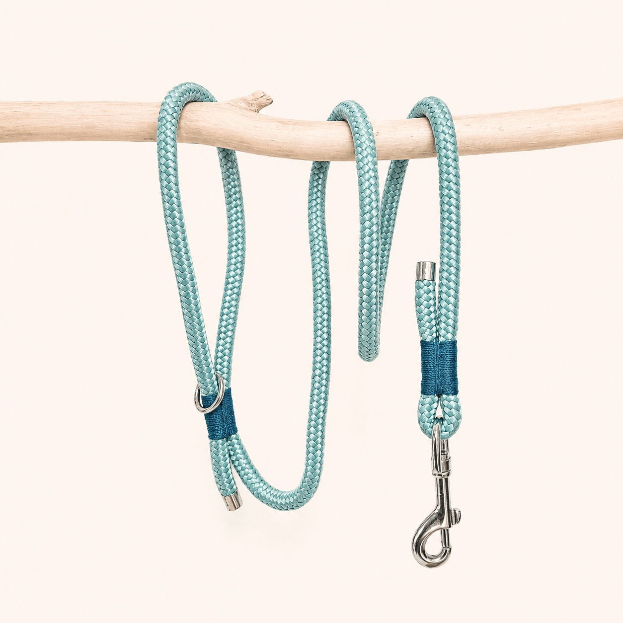laisse-paracorde-bleu-ciel-chiens