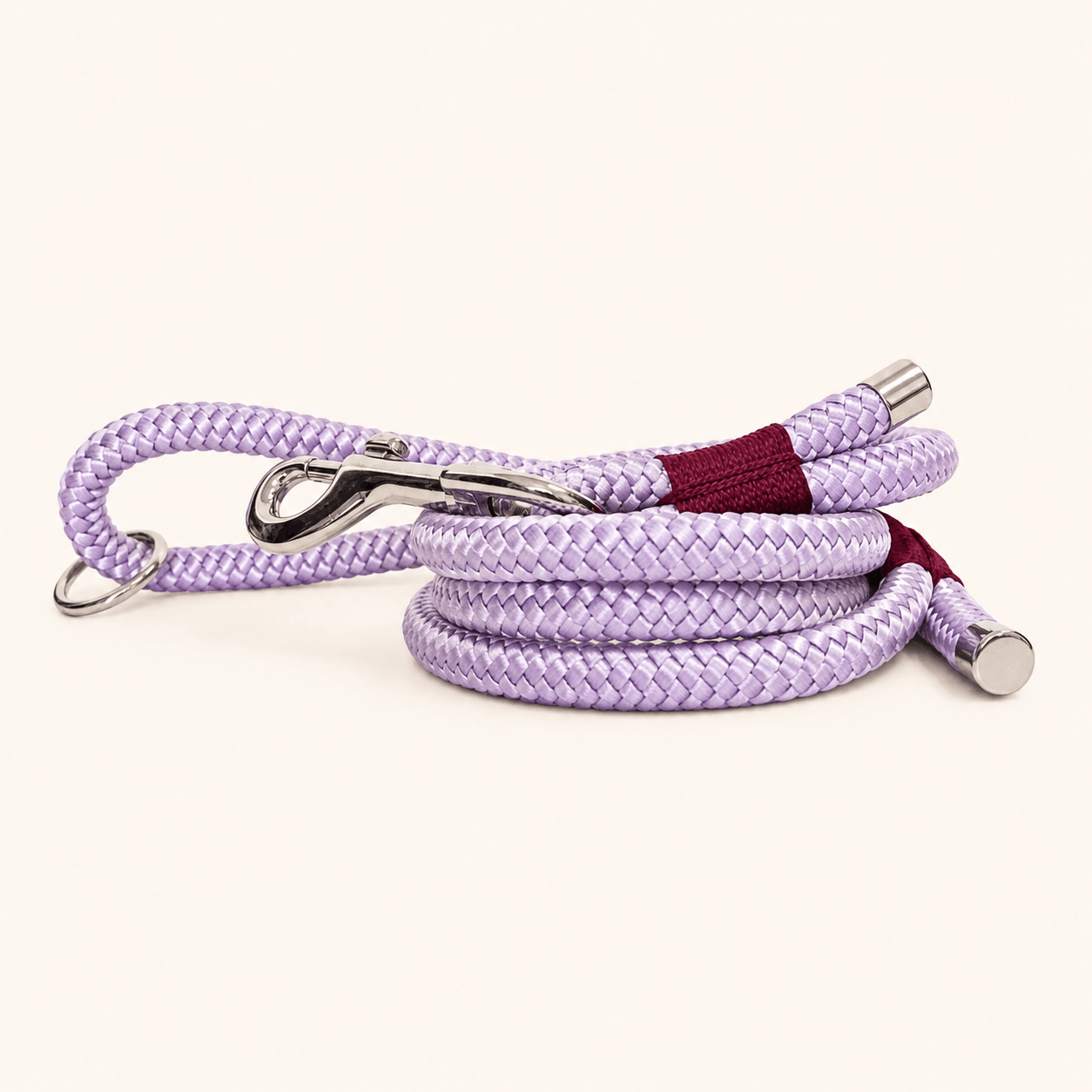 laisse-chiens-paracorde-lilas