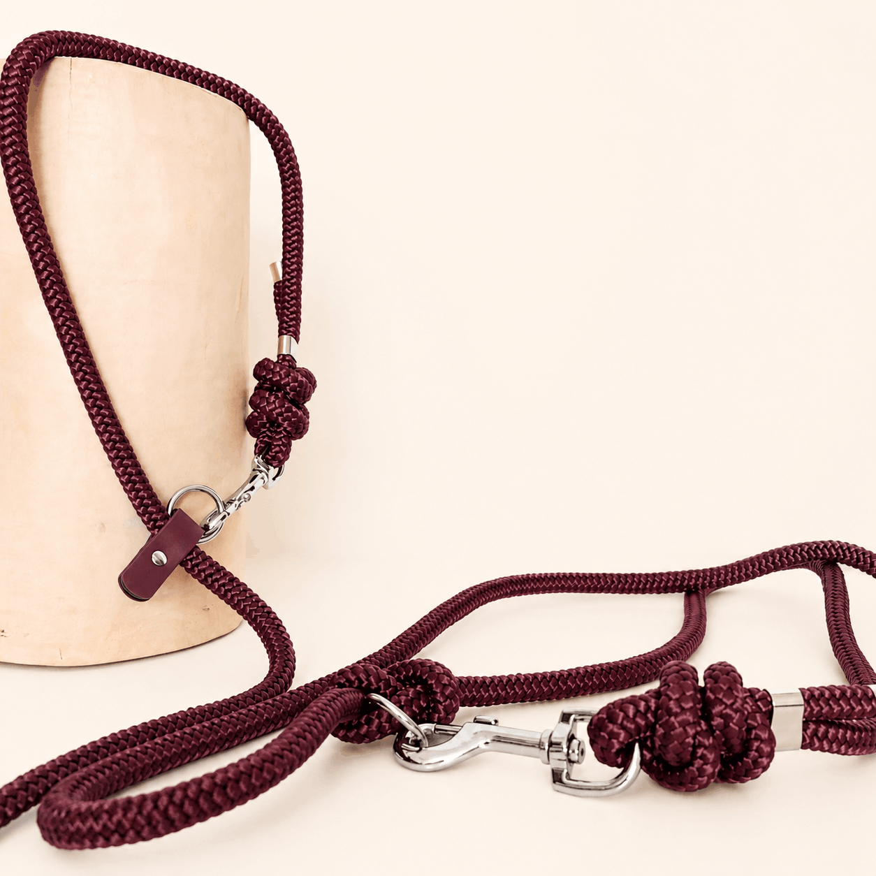 laisse-mains-libres-multipositions-paracorde-bordeaux-chien