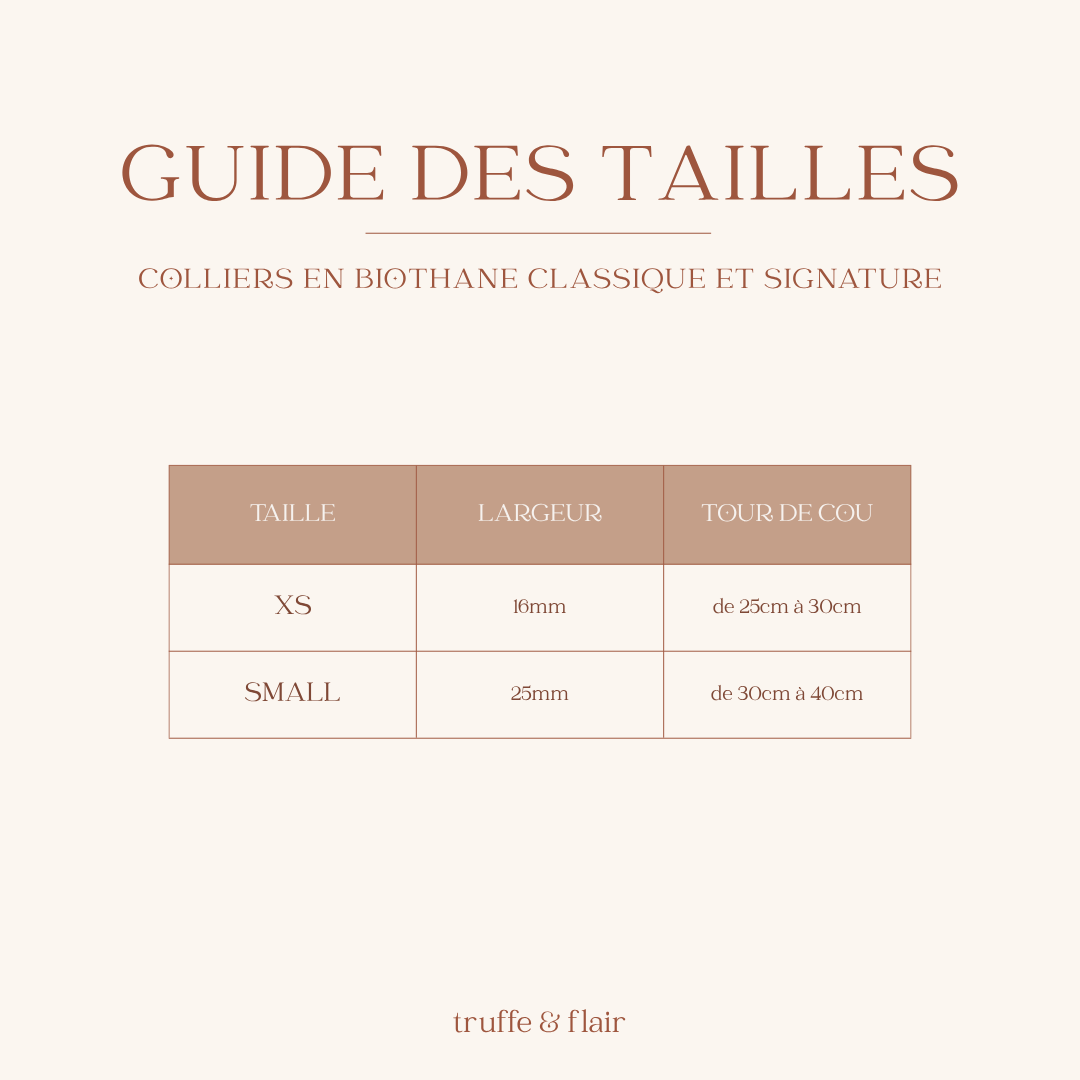 ensemble-petit-chien-biothane-classique-tailles