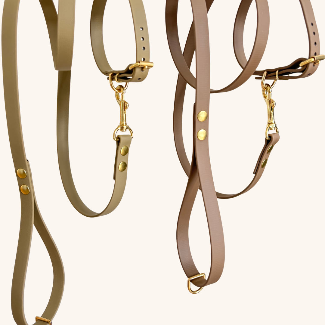 Ensemble-biothane-classique-petit-chien-32-coloris