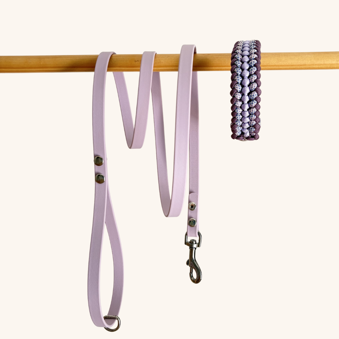 Ensemble-biothane-tresse-laisse-collier-petit-chien