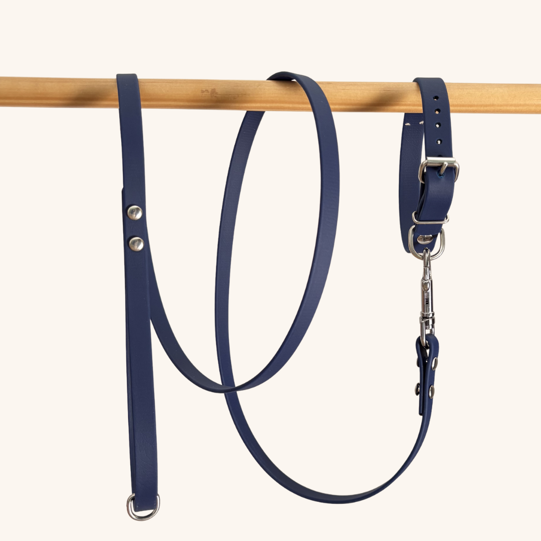 Ensemble-biothane-classique-petit-chiens-marine
