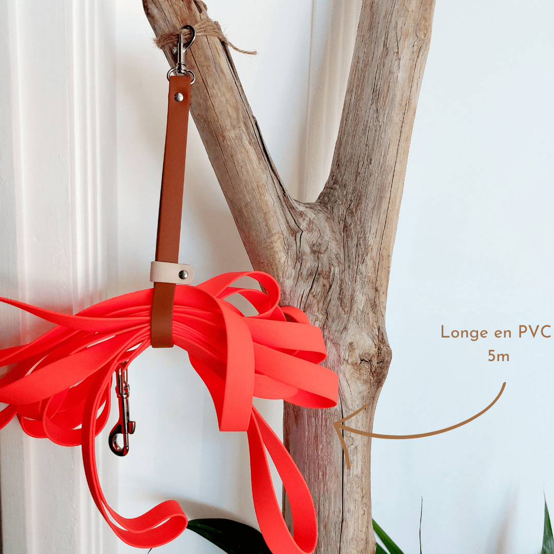 range-longe-chiens-5m