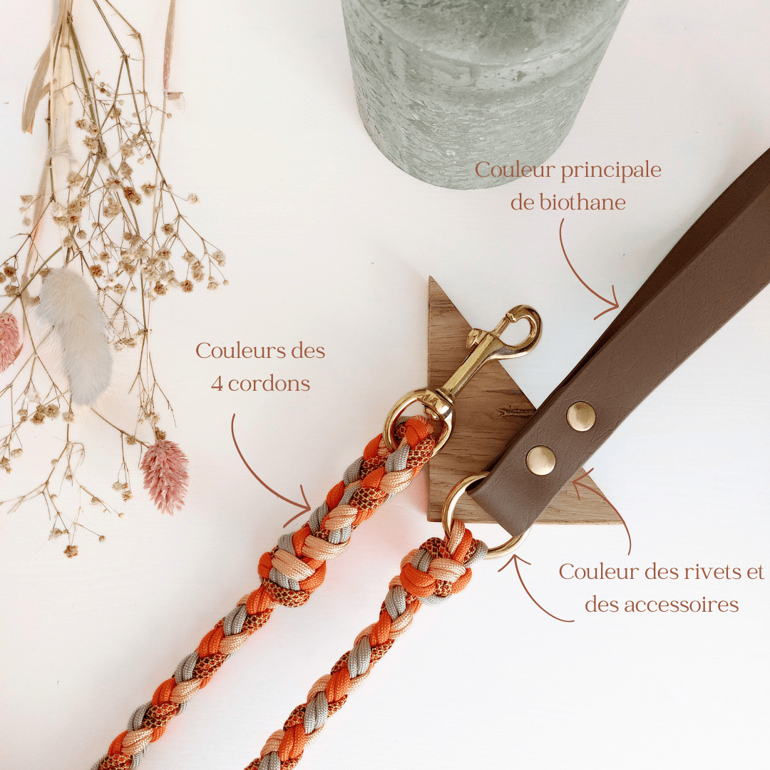 Photographie montagne noir et blanc cadre entourage cordage