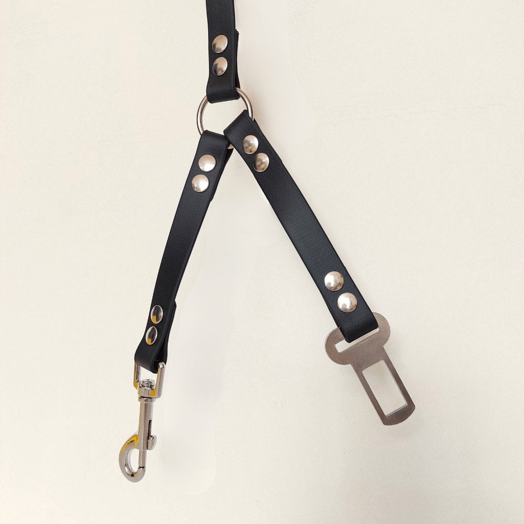 accessoire-voiture-biothane-multifonctions-chiens