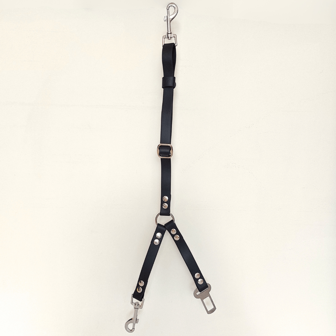 accessoire-voiture-multifonctions-chiens