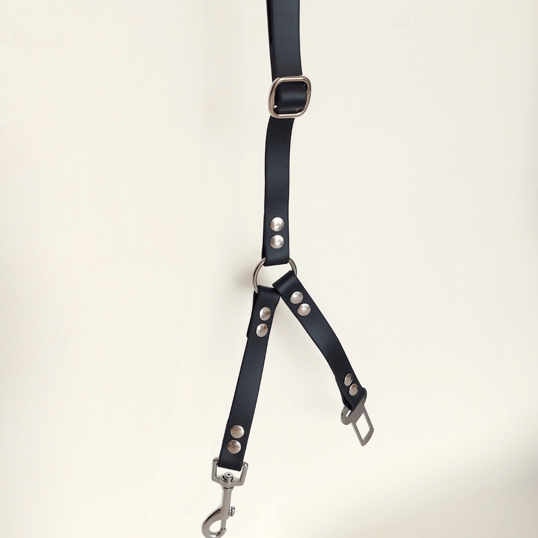 accessoire-voiture-multifonctions-biothane-chiens