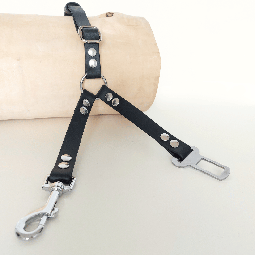 accessoire-biothane-voiture-multifonctions-chien
