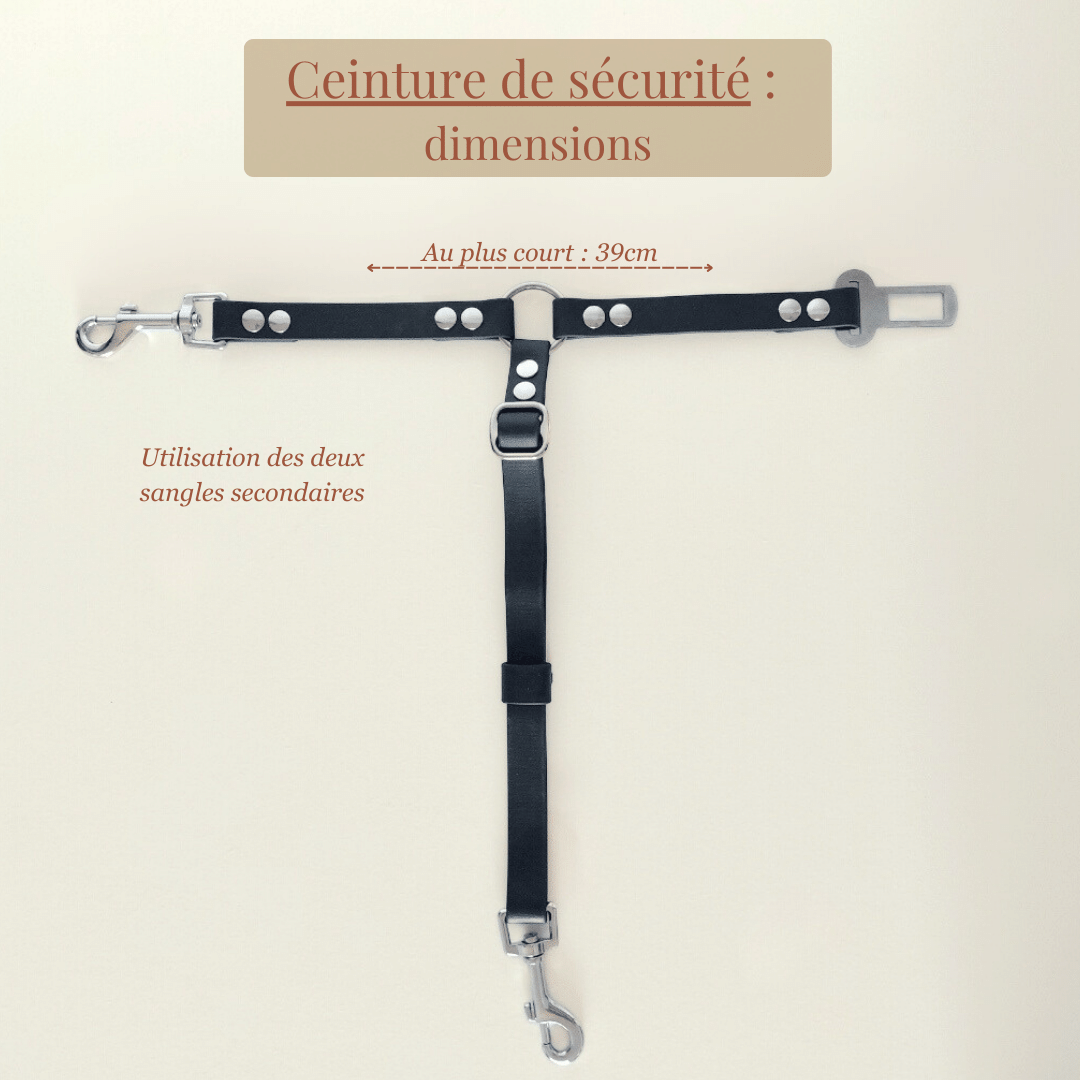 accessoire-biothane-voiture-multifonctions-chien-dimensions3