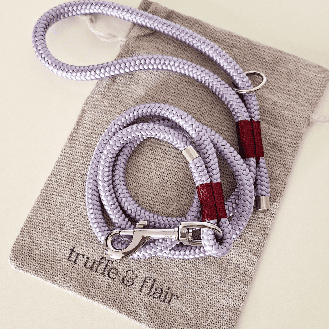 laisse-chiens-paracorde-lilas-truffeetflair