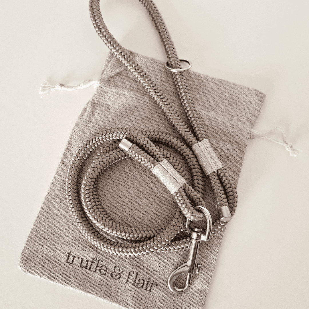laisse-chiens-paracorde-beige-truffeetflair