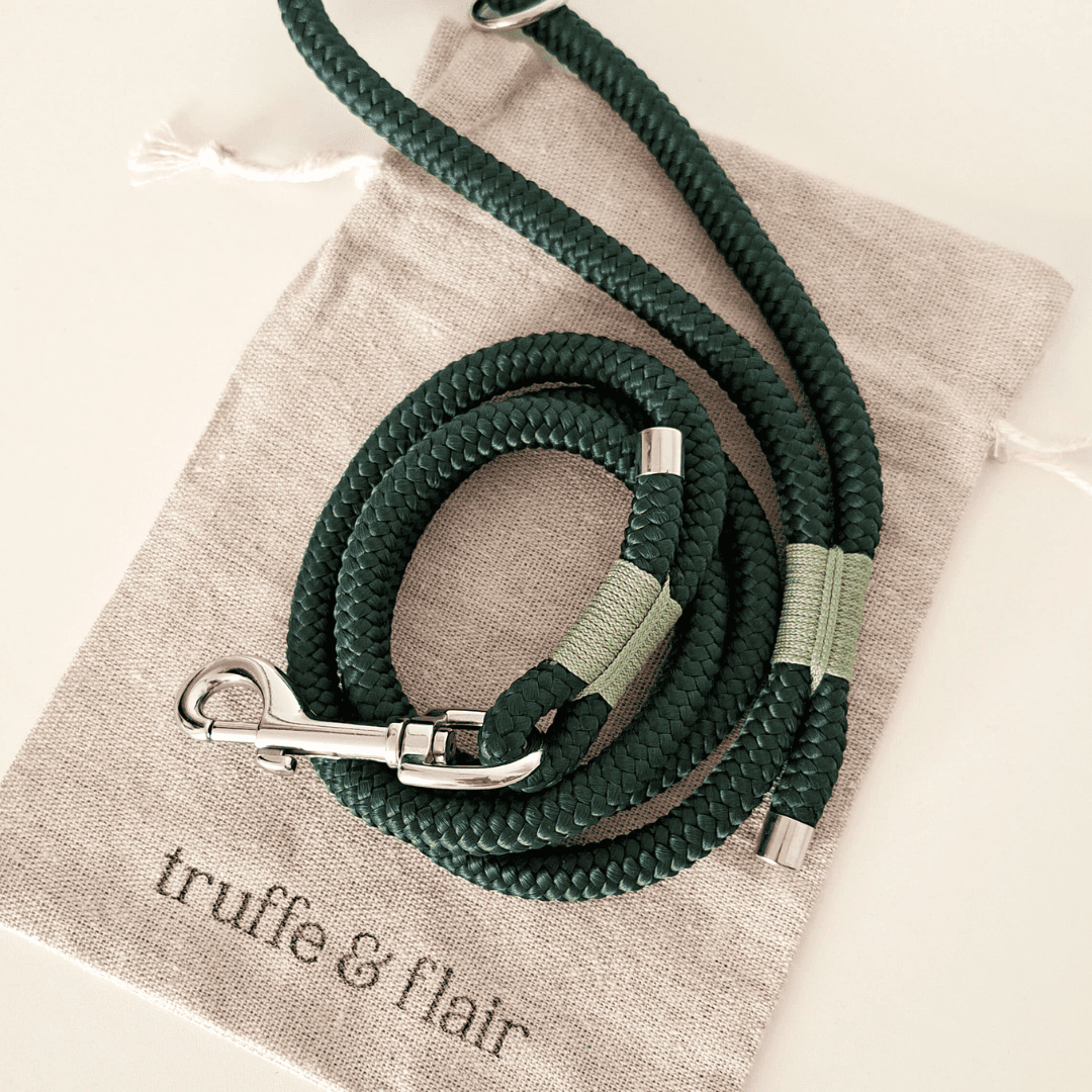 laisse-chiens-paracorde-vert-truffeetflair