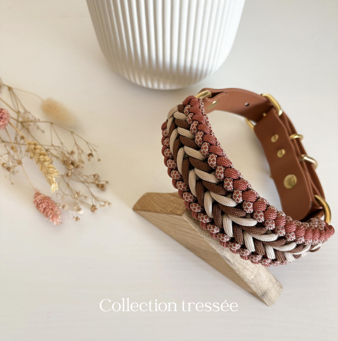 Collection tressée accessoires chiens