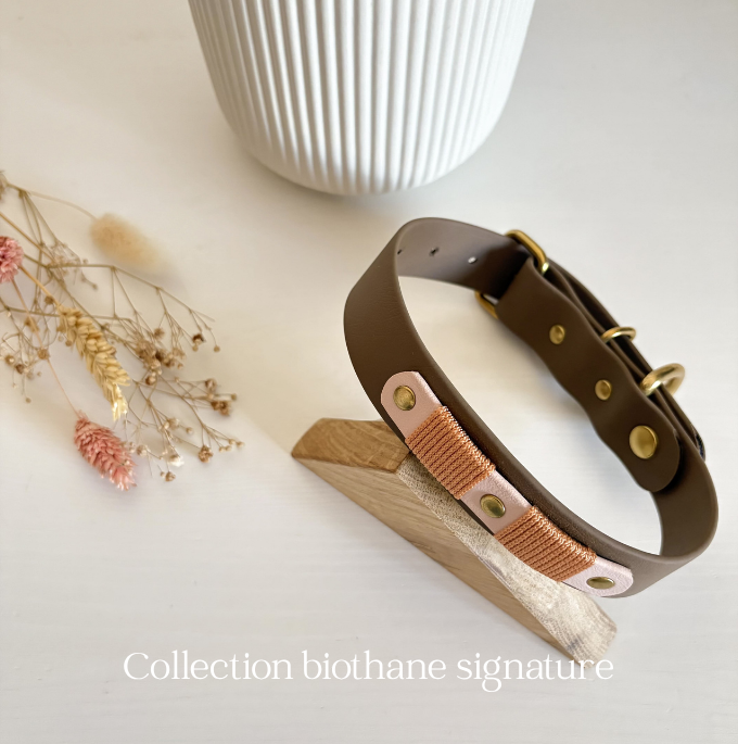 Collection biothane signature accessoires chiens