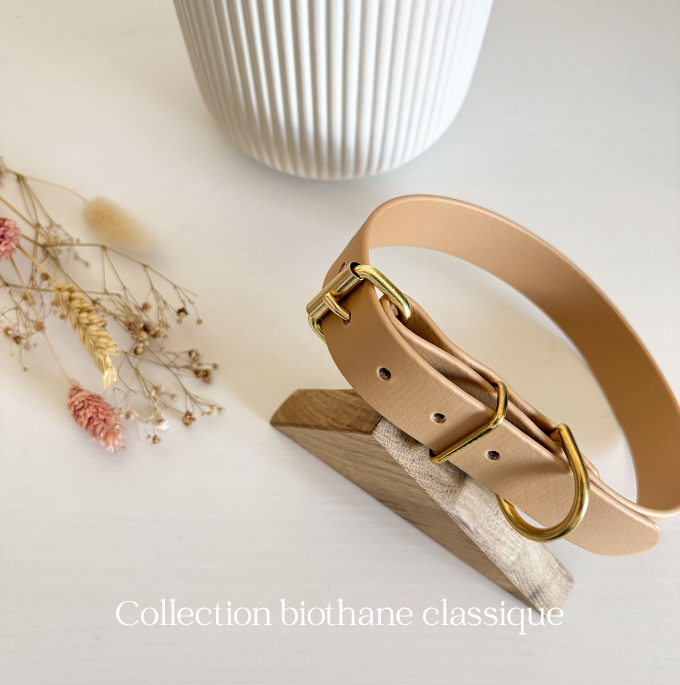 collection biothane classique colliers chiens accessoires truffe et flair boutique