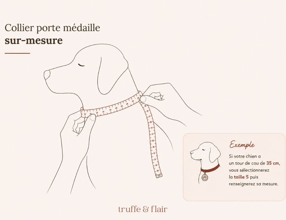 mesurer tour cou chien collier porte medaille sur mesure guide tailles
