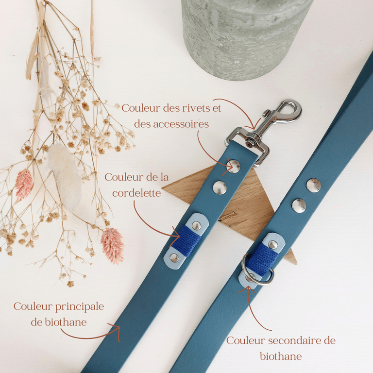 Laisse Tandem Licorne BioThane – Laisse Avant Calèche, Solide Et étanche