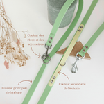 laisse-multipositions-mains-libres-chien-biothane-100-personnalisée-truffe-et-flair