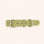 collier-biothane-classique-chien-avocat