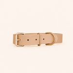 collier-biothane-classique-chien-gold-jaune
